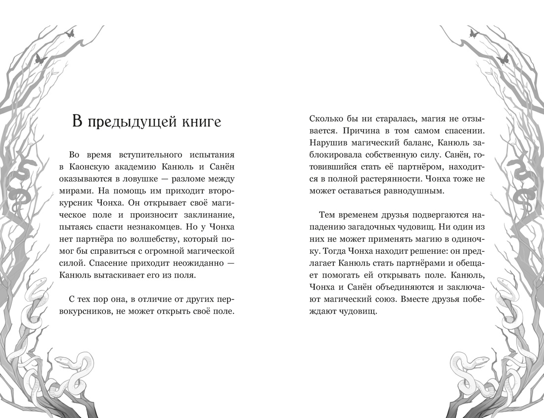Маги Каона. Последний принц, Отрывок из книги