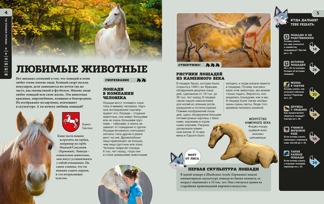 Лошади (Гудрун Браун и др.), Отрывок из книги