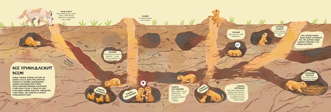 Семья в мире животных. Любовь, забота и воспитание в дикой природе, Отрывок из книги