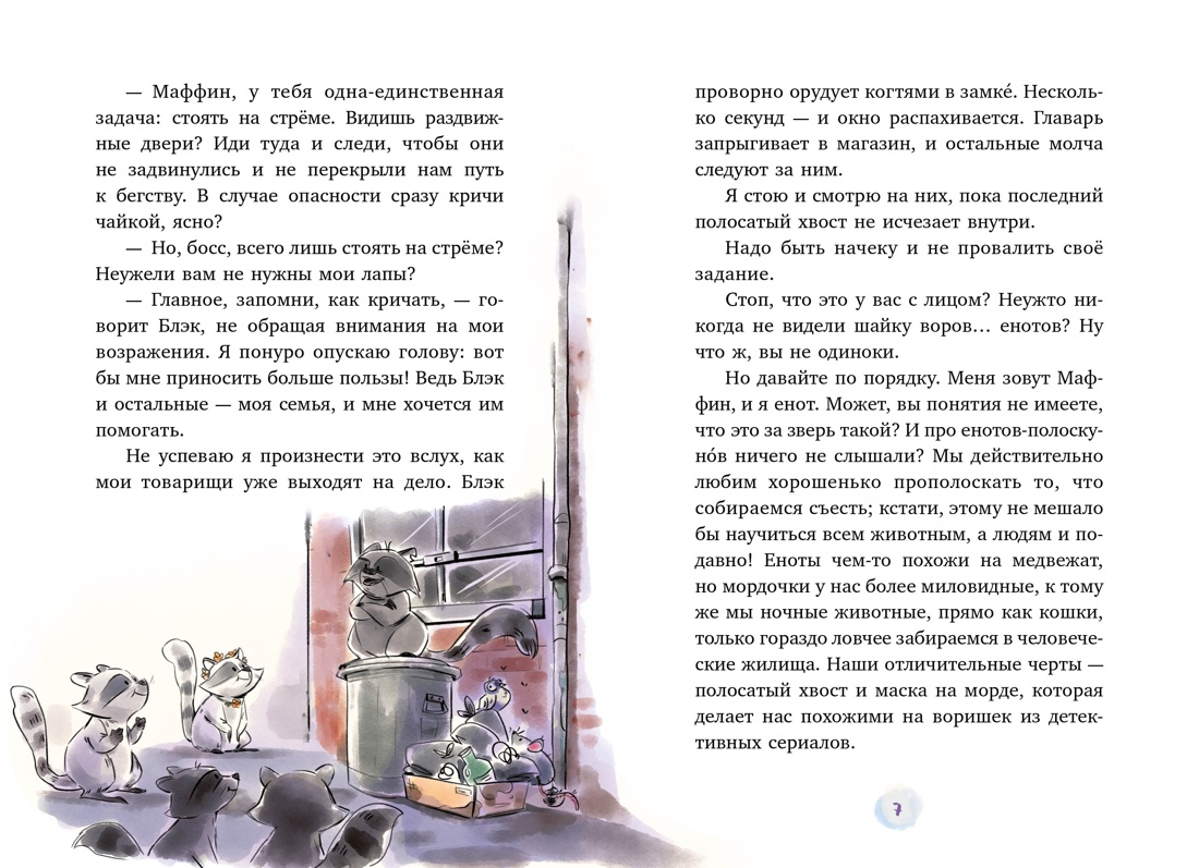 Маффин. Мой друг енот, Сара Галли