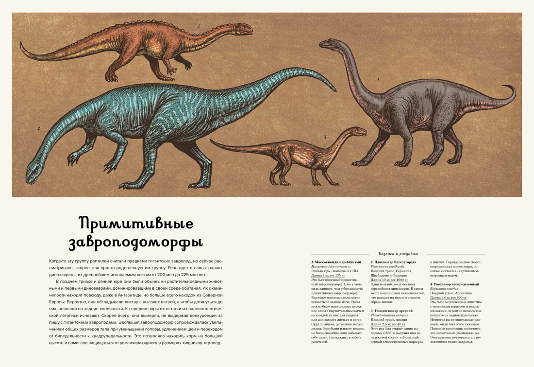 Динозавриум, Лили Маррей