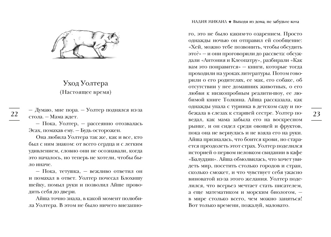 Выходя из дома, не забудьте кота, Отрывок из книги