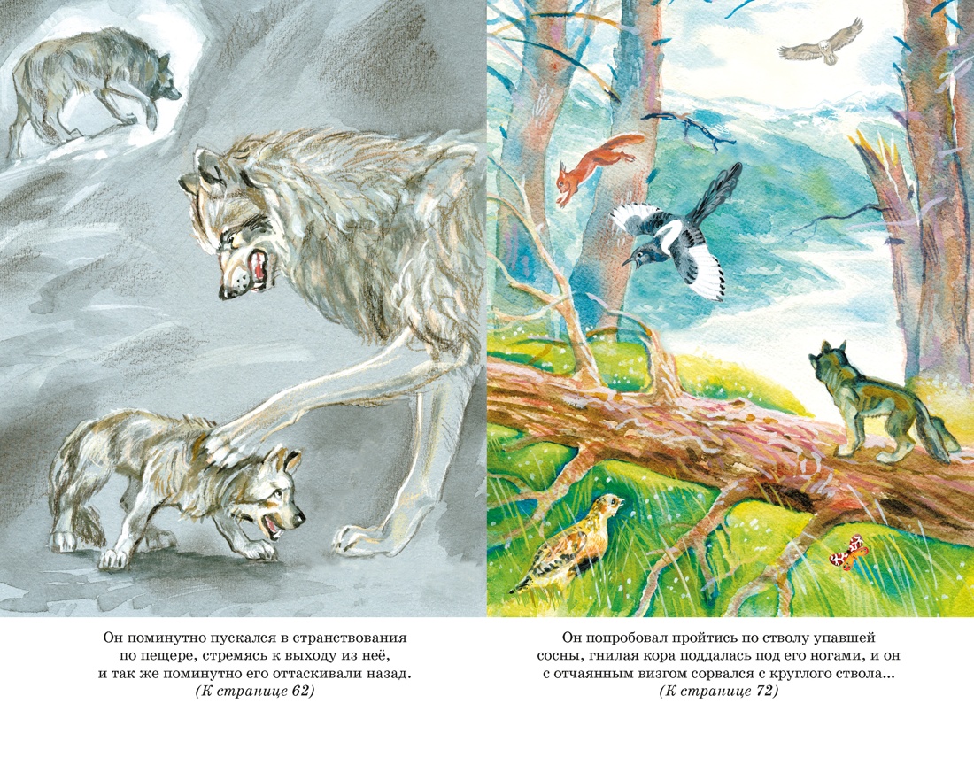 Белый клык, Отрывок из книги