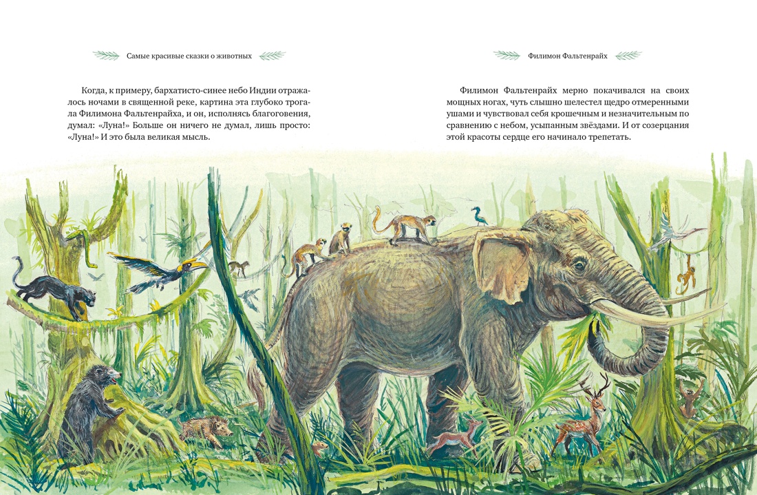 Самые красивые сказки о животных, Отрывок из книги
