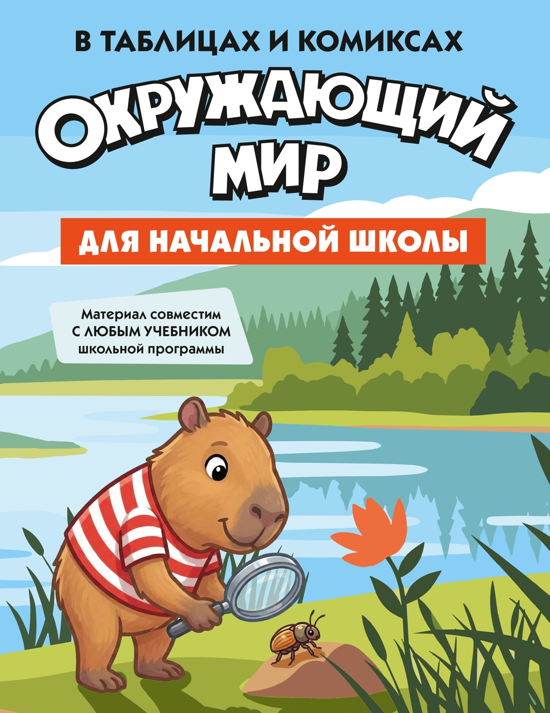 Гид по 4-м главным предметам начальной школы. Комплект из 4-х книг в коробе, Отрывок из книги