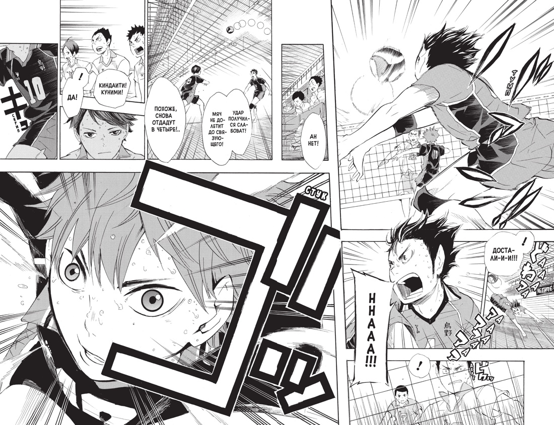 Волейбол! Книга 4. Эволюция. Больше не одинокий Король, Отрывок из книги