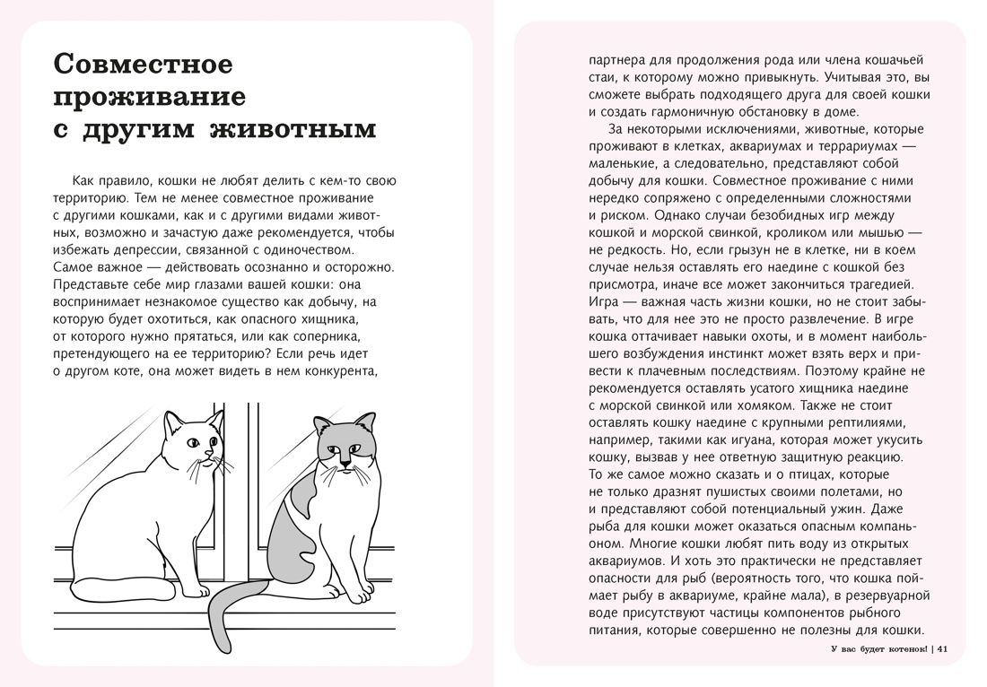 Гладить! Кормить! Любить! Замурчательное пособие по счастливой жизни с кошкой, Отрывок из книги