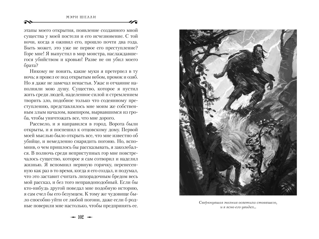 Франкенштейн, Отрывок из книги