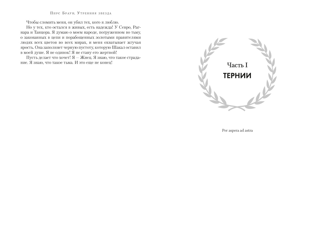 Утренняя звезда (The Big Book), Отрывок из книги