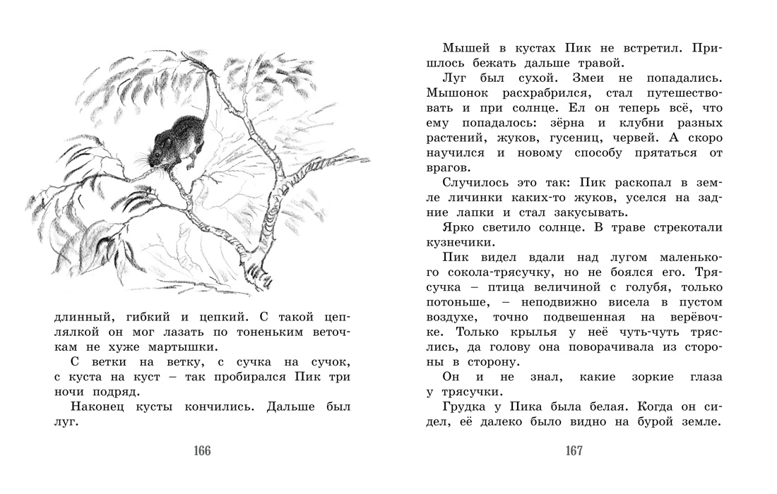 Лесные сказки и рассказы (иллюстр. Е. Рачёва), Отрывок из книги