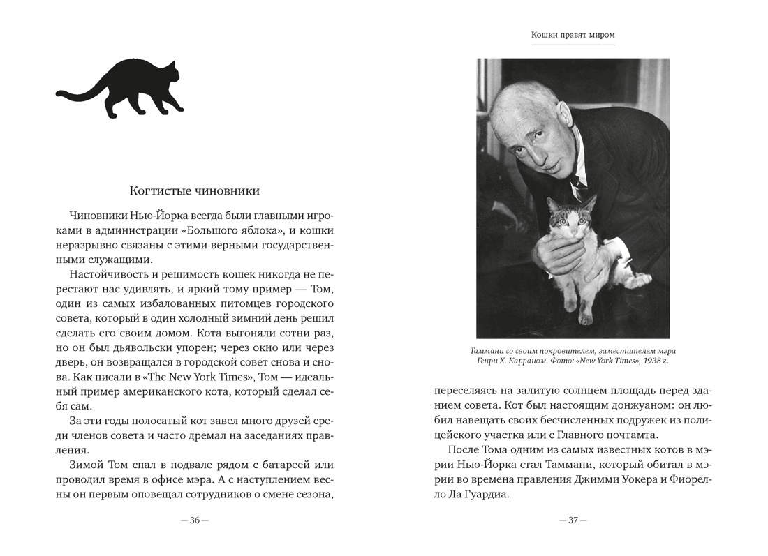 Кошки правят миром, Отрывок из книги