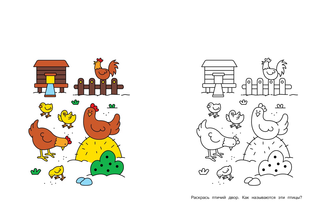 Раскраски по образцам (5-6 лет), Отрывок из книги