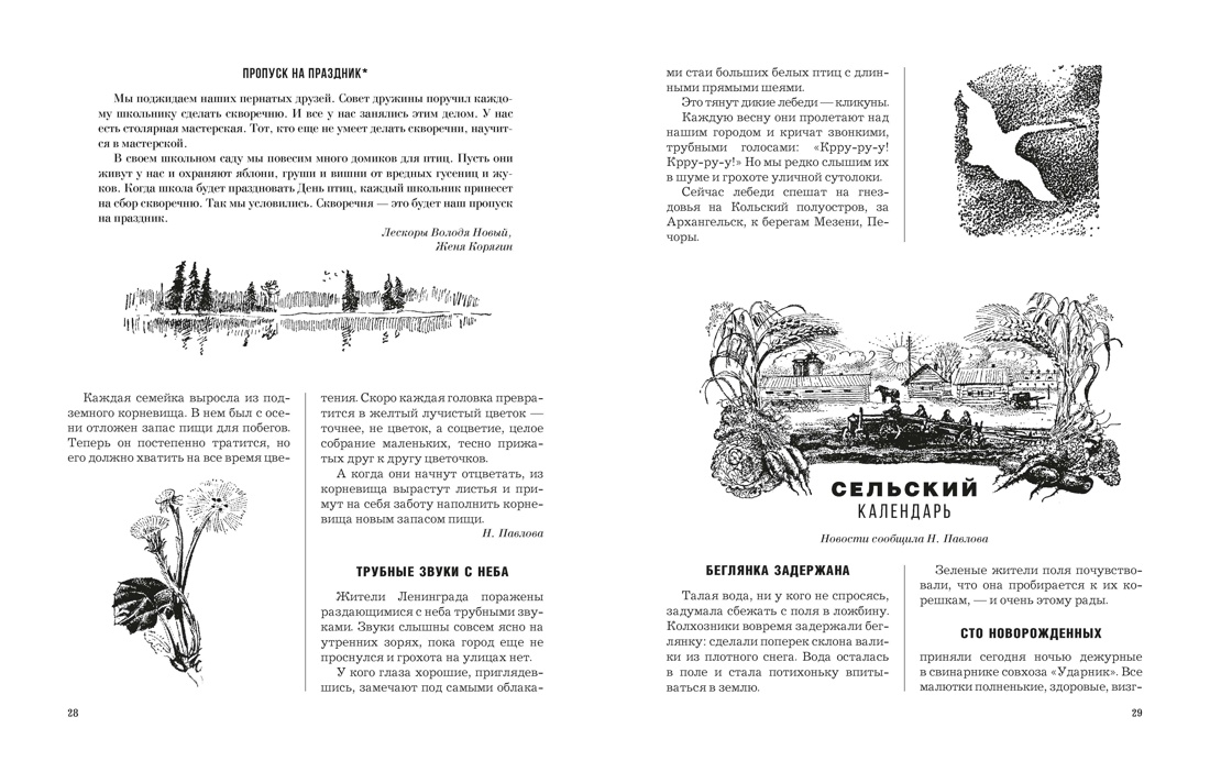 Лесная газета, Отрывок из книги