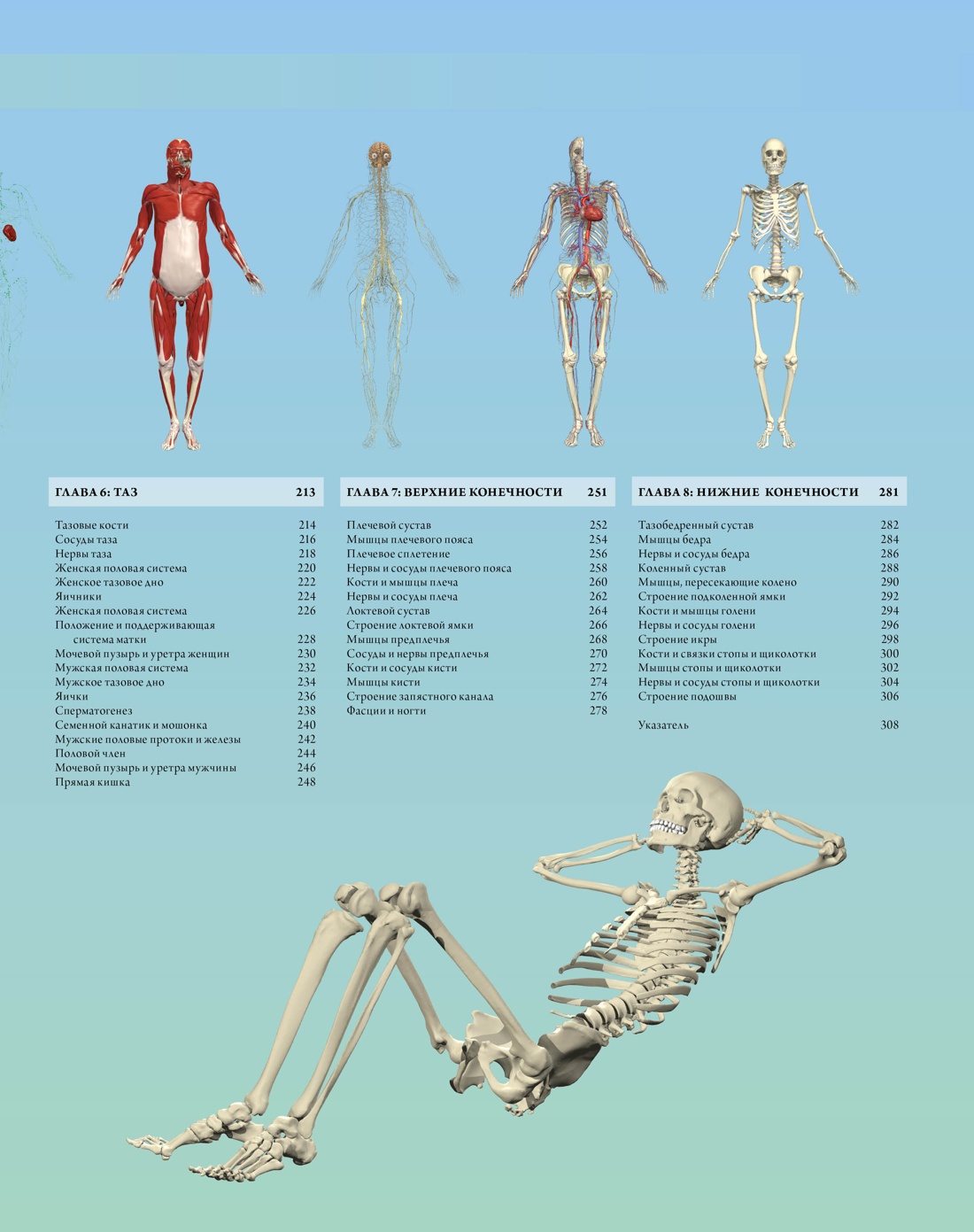 Иллюстрированный атлас. Анатомия человека, Отрывок из книги