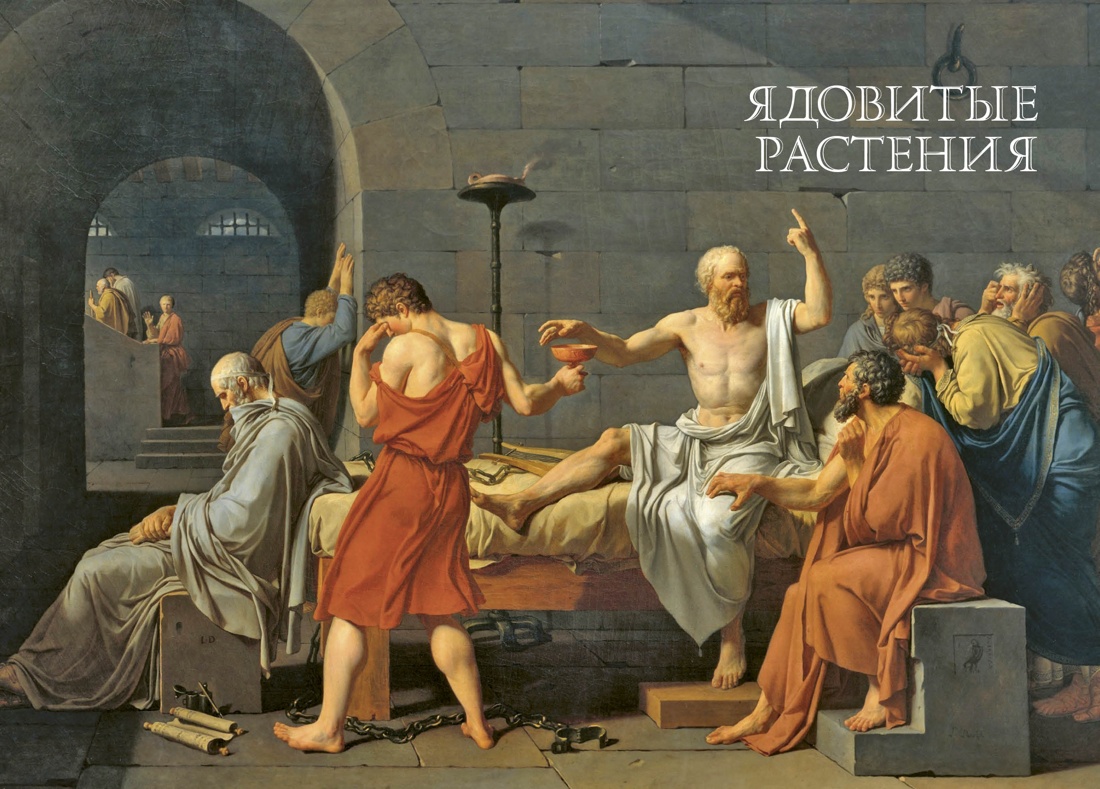 Яды. Секретная сила растений, Отрывок из книги