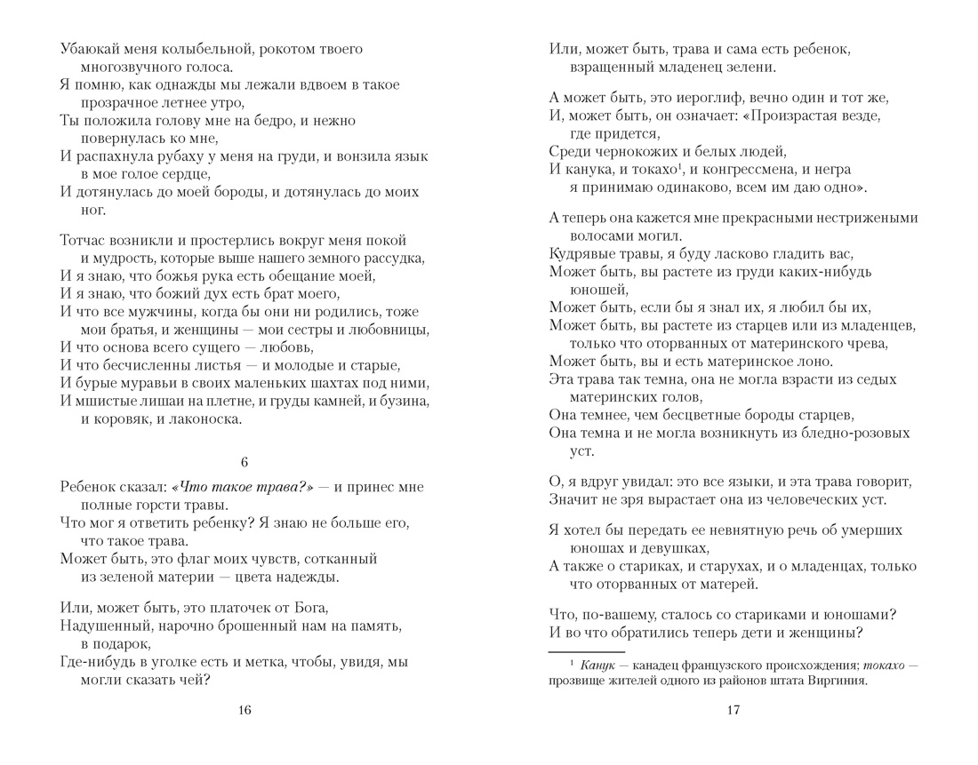 Листья травы (мягкая обложка), Отрывок из книги
