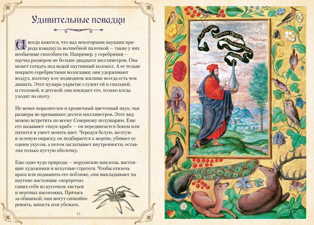 Тайные знания магического Средневековья. Сборный комплект из 3-х книг в коробе, Отрывок из книги