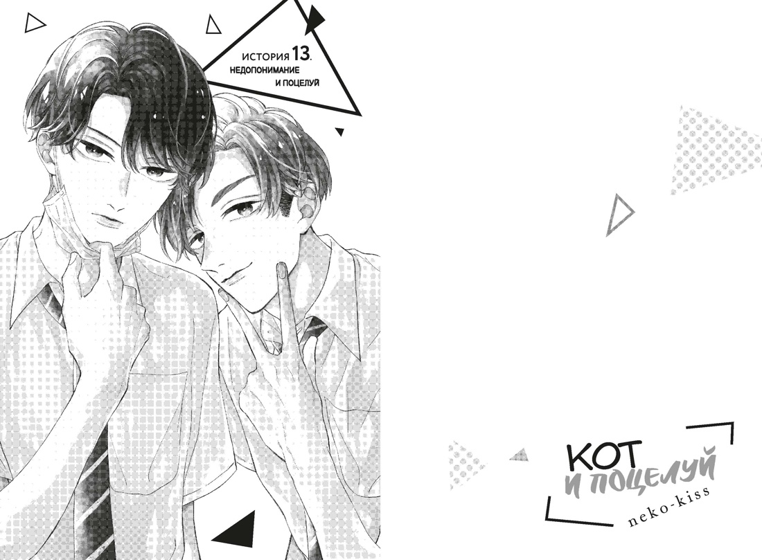 Кот и поцелуй. Том 4, Отрывок из книги