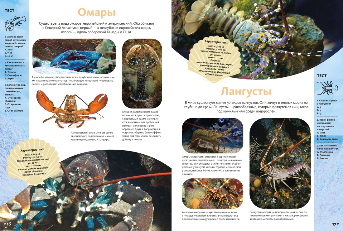 Животные морей и океанов. Большая школьная энциклопедия, Отрывок из книги