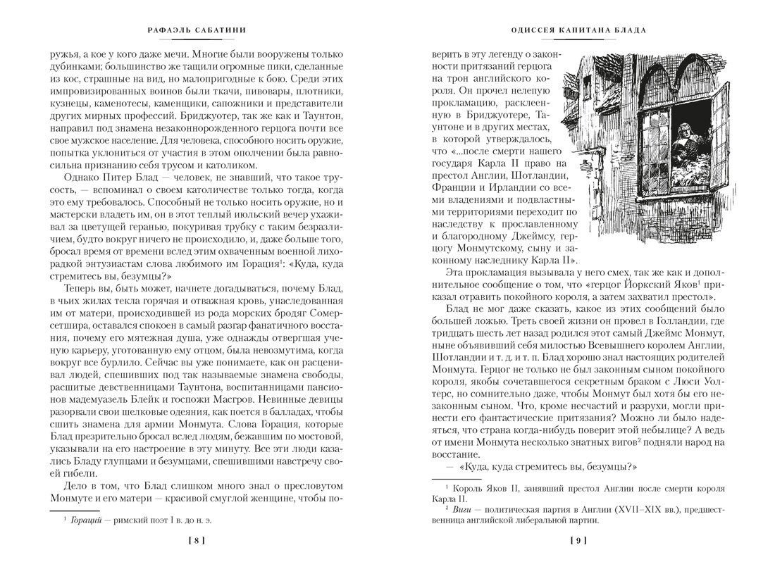 Приключения капитана Блада, Отрывок из книги