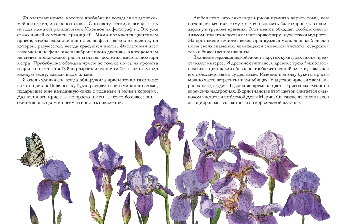 Утешение природой, Отрывок из книги