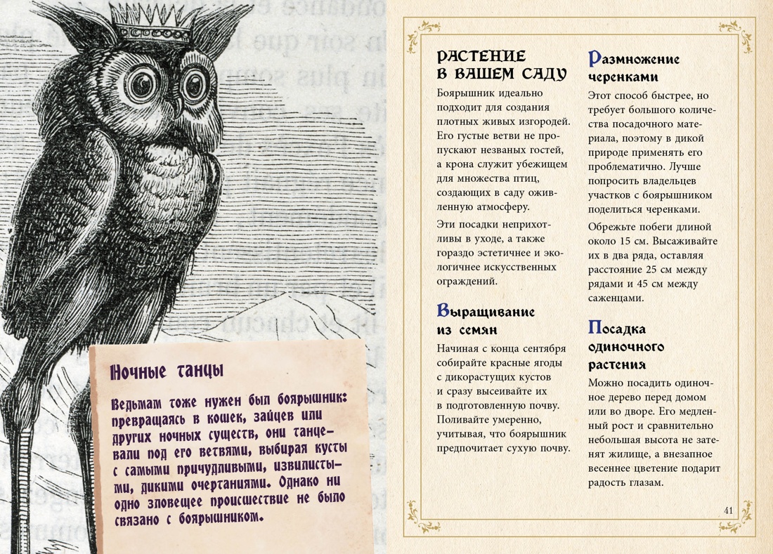 Тайные знания магического Средневековья. Сборный комплект из 3-х книг в коробе, Отрывок из книги