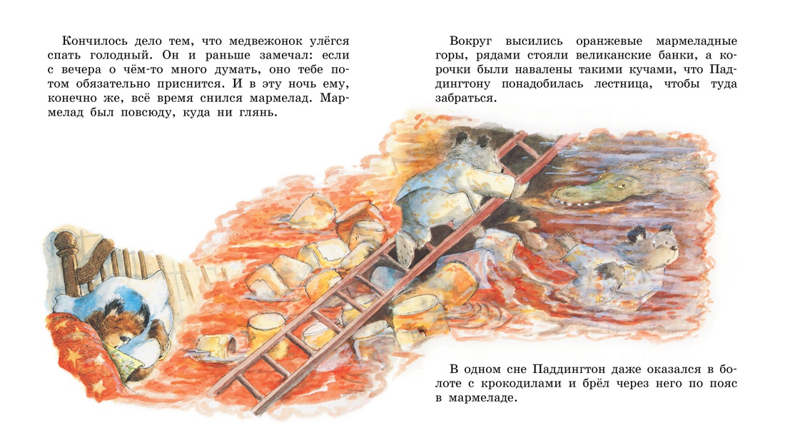 Медвежонок Паддингтон и мокрая история, Отрывок из книги
