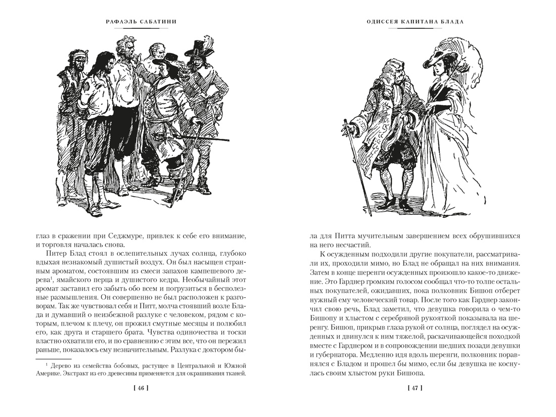 Приключения капитана Блада, Отрывок из книги