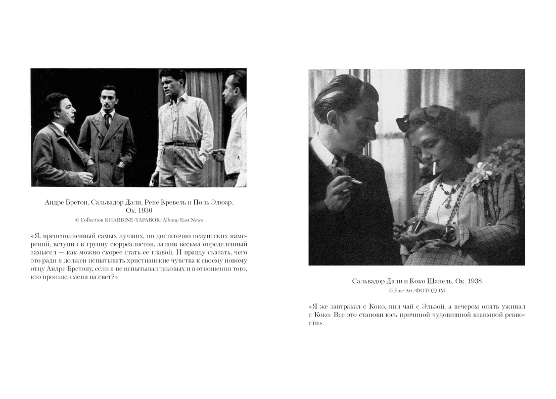 Дневник одного гения, Отрывок из книги