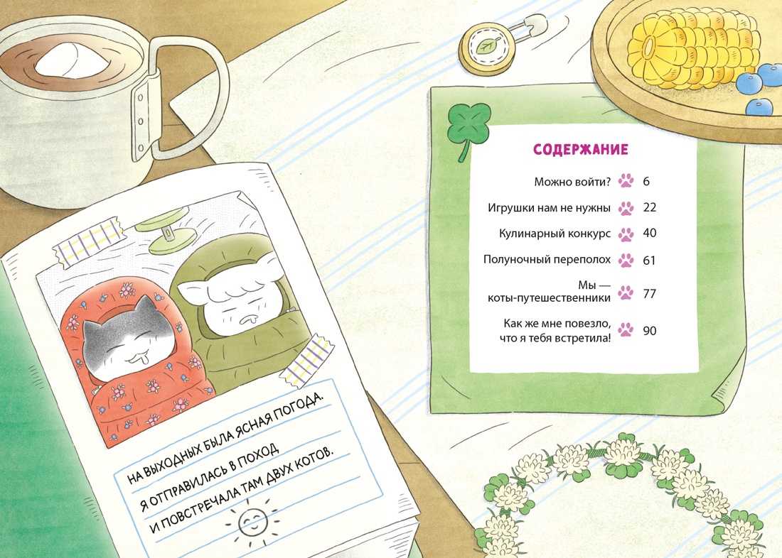 Кот идёт в поход, Мин Джон Хон 