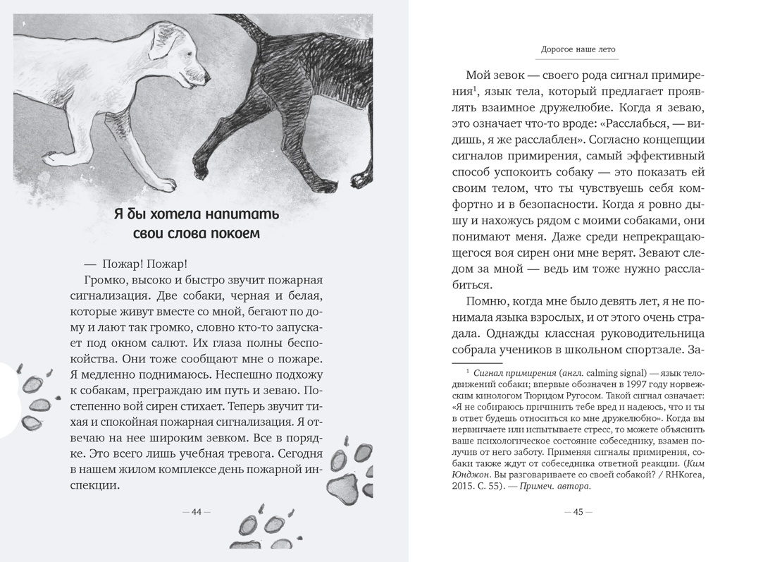 Дорогое наше лето, Отрывок из книги