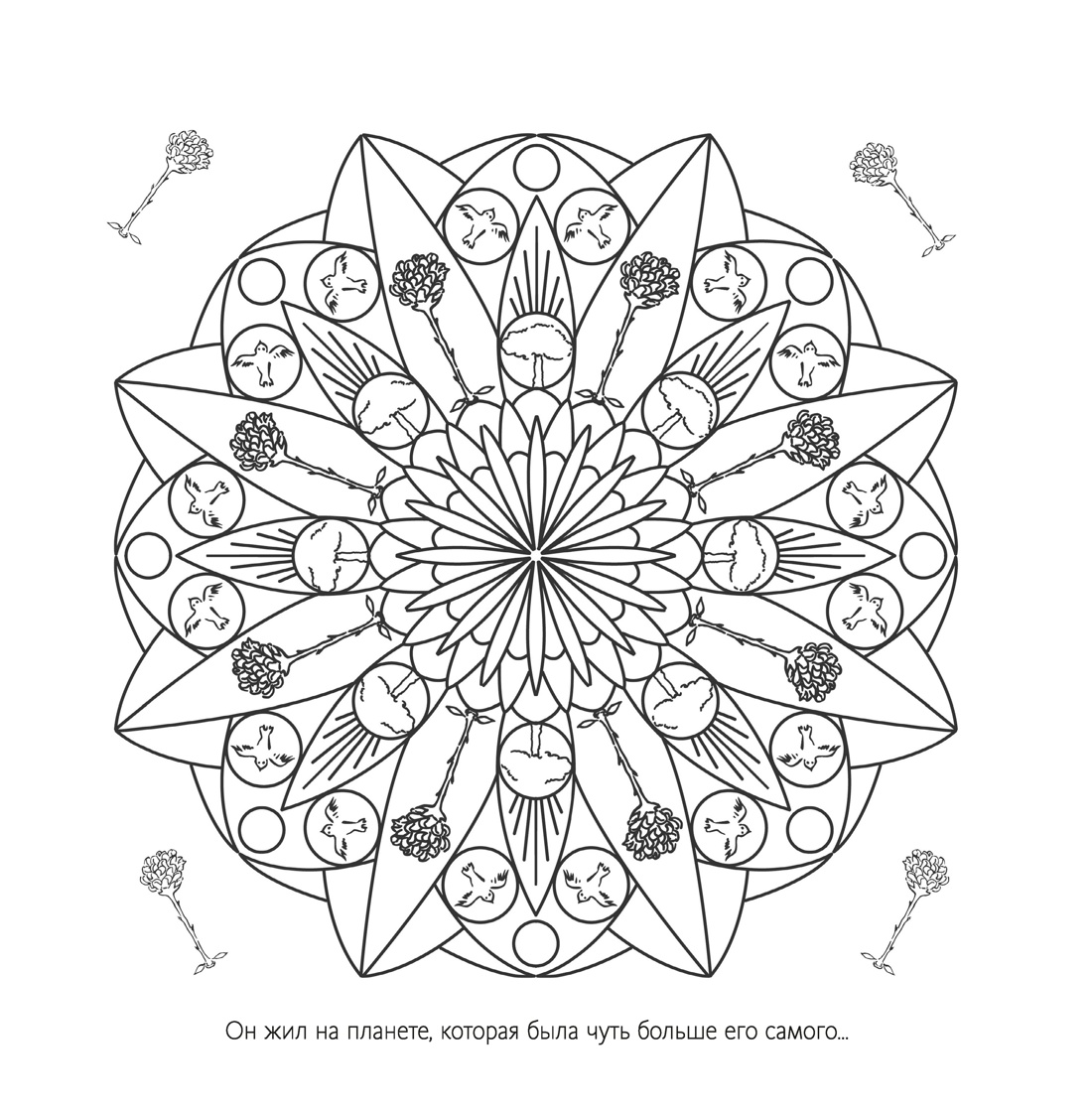 В мире Маленького принца, Отрывок из книги