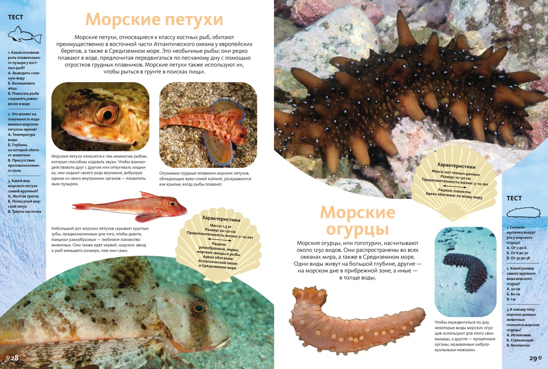 Животные морей и океанов. Большая школьная энциклопедия, Отрывок из книги