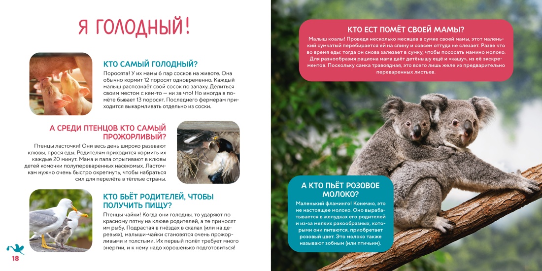 Моя первая книга о животных. 200 фотографий, Отрывок из книги
