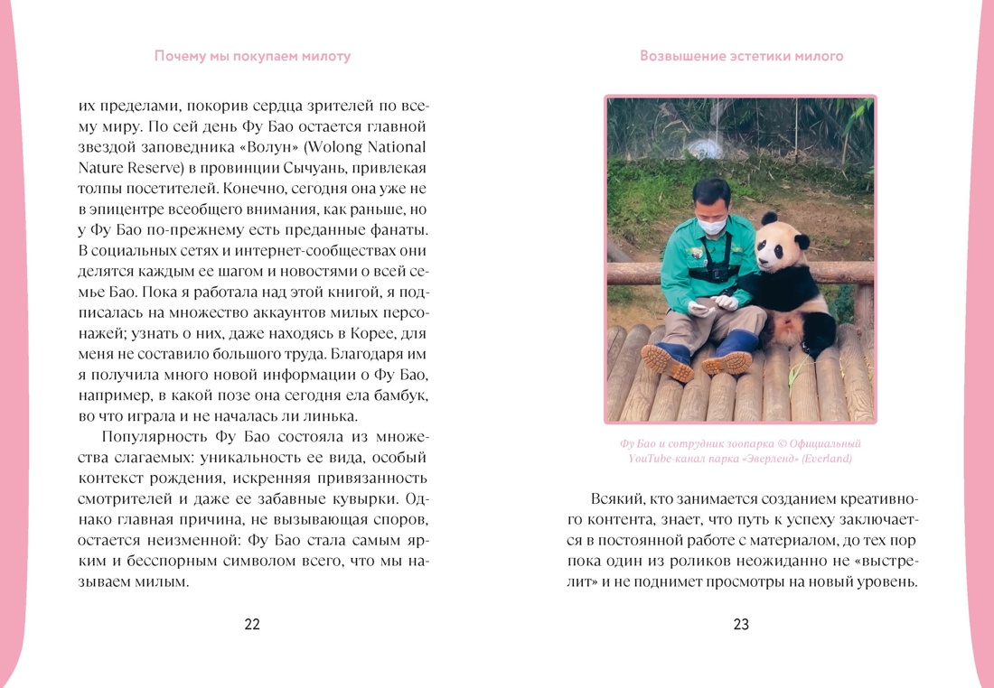 Почему мы покупаем милоту. Психология выбора, Отрывок из книги