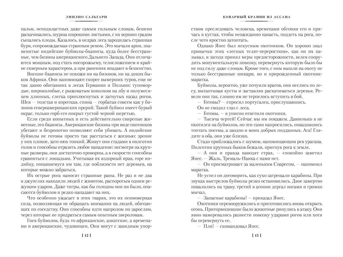 Сандокан. Коварный брамин из Ассама. Гибель империи. Реванш Янеса, Отрывок из книги