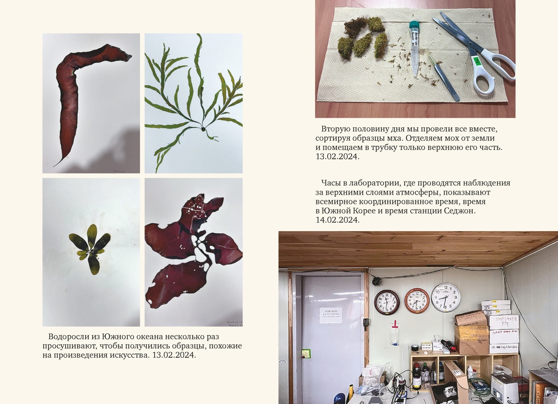 Мой полярный дневник, Отрывок из книги