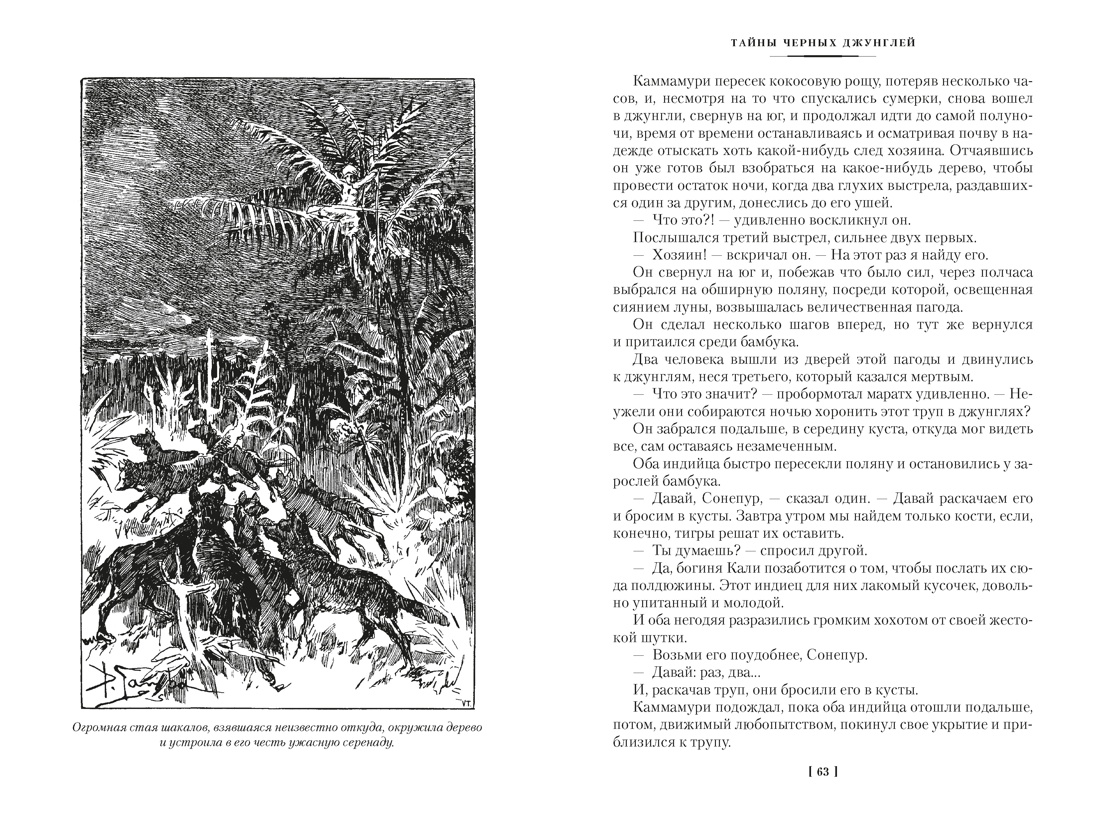 Сандокан. Тайны Черных джунглей. Жемчужина Лабуана. Пираты Малайзии, Отрывок из книги