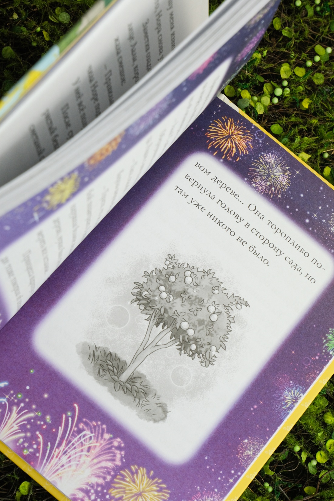 Апельсиновая кошка, Отрывок из книги