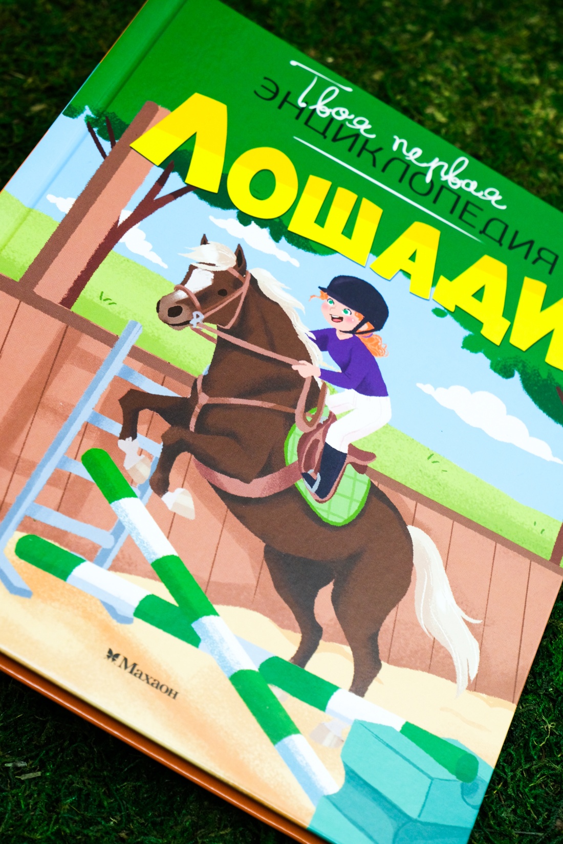 Лошади, Отрывок из книги