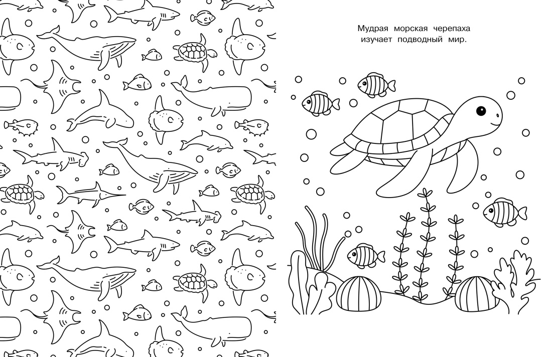 Милые очаровашки, Отрывок из книги