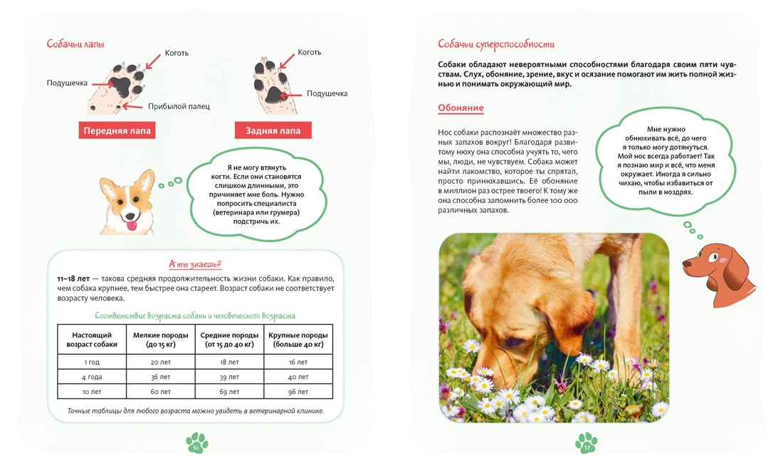 Я и моя собака. Как понять питомца и стать ему другом, Отрывок из книги