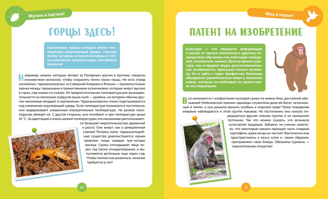 Невероятные животные, Отрывок из книги