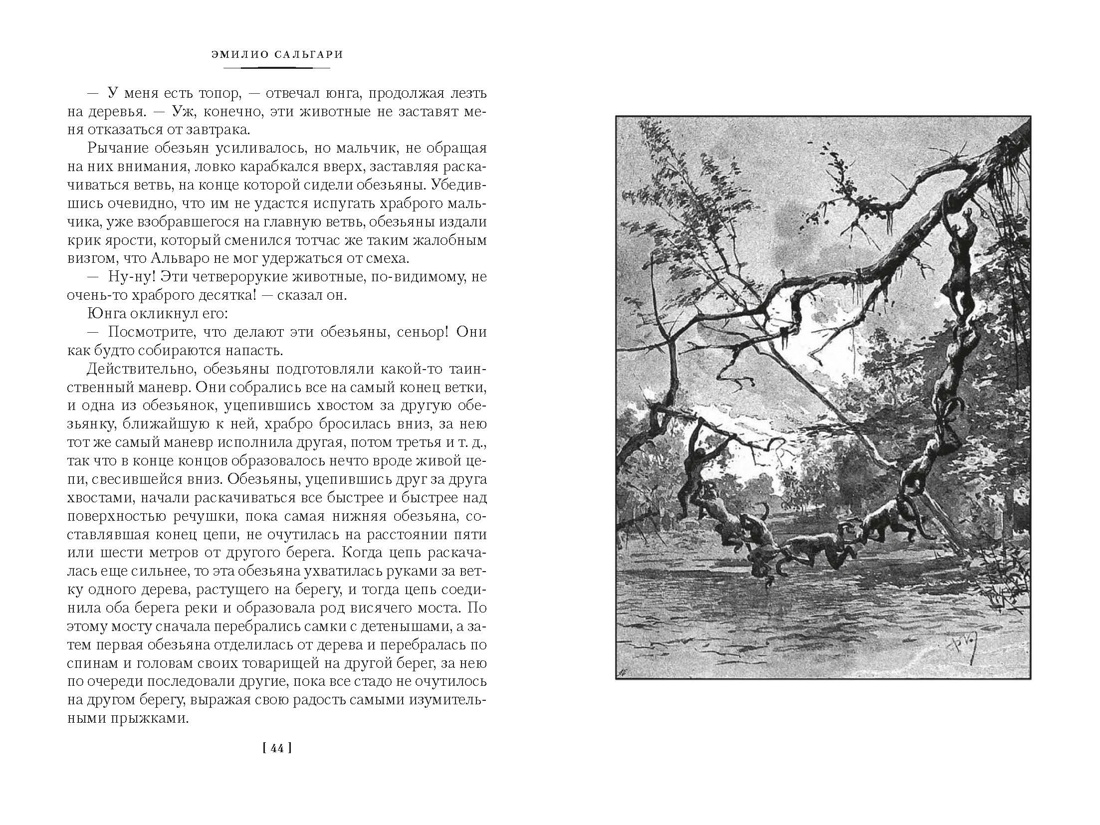 Человек огня. Сокровище Голубых гор, Отрывок из книги