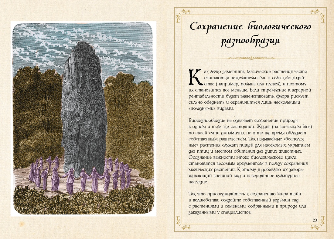 Маленький гримуар ведьмы. Зелья и волшебные травы, Отрывок из книги