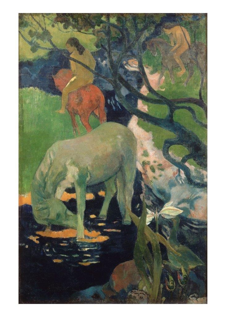 Лошади. Символ красоты и силы в искусстве, Отрывок из книги
