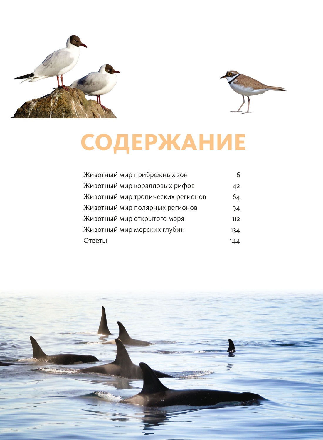 Животные морей и океанов. Большая школьная энциклопедия, Кристин Балле