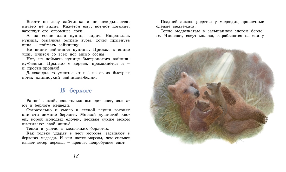 Домик в лесу, Отрывок из книги