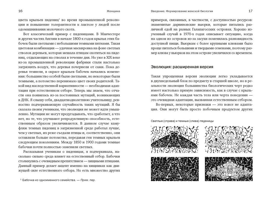 Женщина: эволюционный взгляд на то, как и почему появилась женская форма, Отрывок из книги