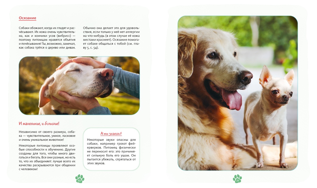 Я и моя собака. Как понять питомца и стать ему другом, Отрывок из книги
